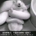 akmnb