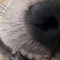 3583706354頭像