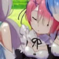 15054876911