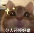 故夢殘花落頭像