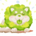 1252341848頭像