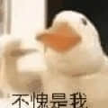 asd530035961頭像