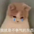 玄衣素裳頭像
