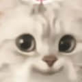 白貝℡頭像
