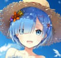 多匪頭像