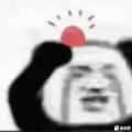 2916706522頭像
