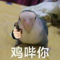 1115472876頭像