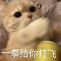 會說話的貓