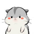 672516393@qq.com