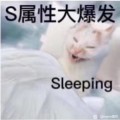 salfish頭像