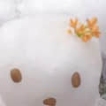 坐照頭像