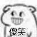 wq2333