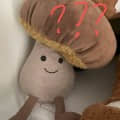 tomashuanganyue@gmail.com頭像