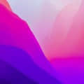 芒冉疋乜頭像