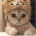 frankyon99頭像