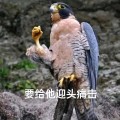 霓鄔頭像