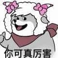 玊3頭像