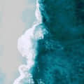 林中雲頭像