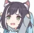 盒盒盒盒盒盒頭像