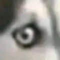 3412538825@qq.com頭像