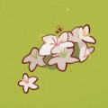 chen_awa頭像