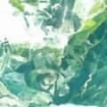 上山打老護頭像
