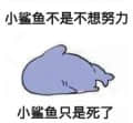 言-愛頭像