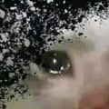 dtriplez頭像