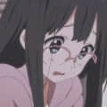 twit頭像