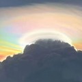 浇给啊$♧頭像