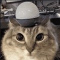 bbb0416頭像