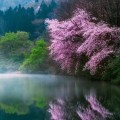 張之洞頭像