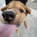 wii頭像