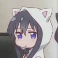 13362643007頭像