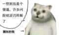 213